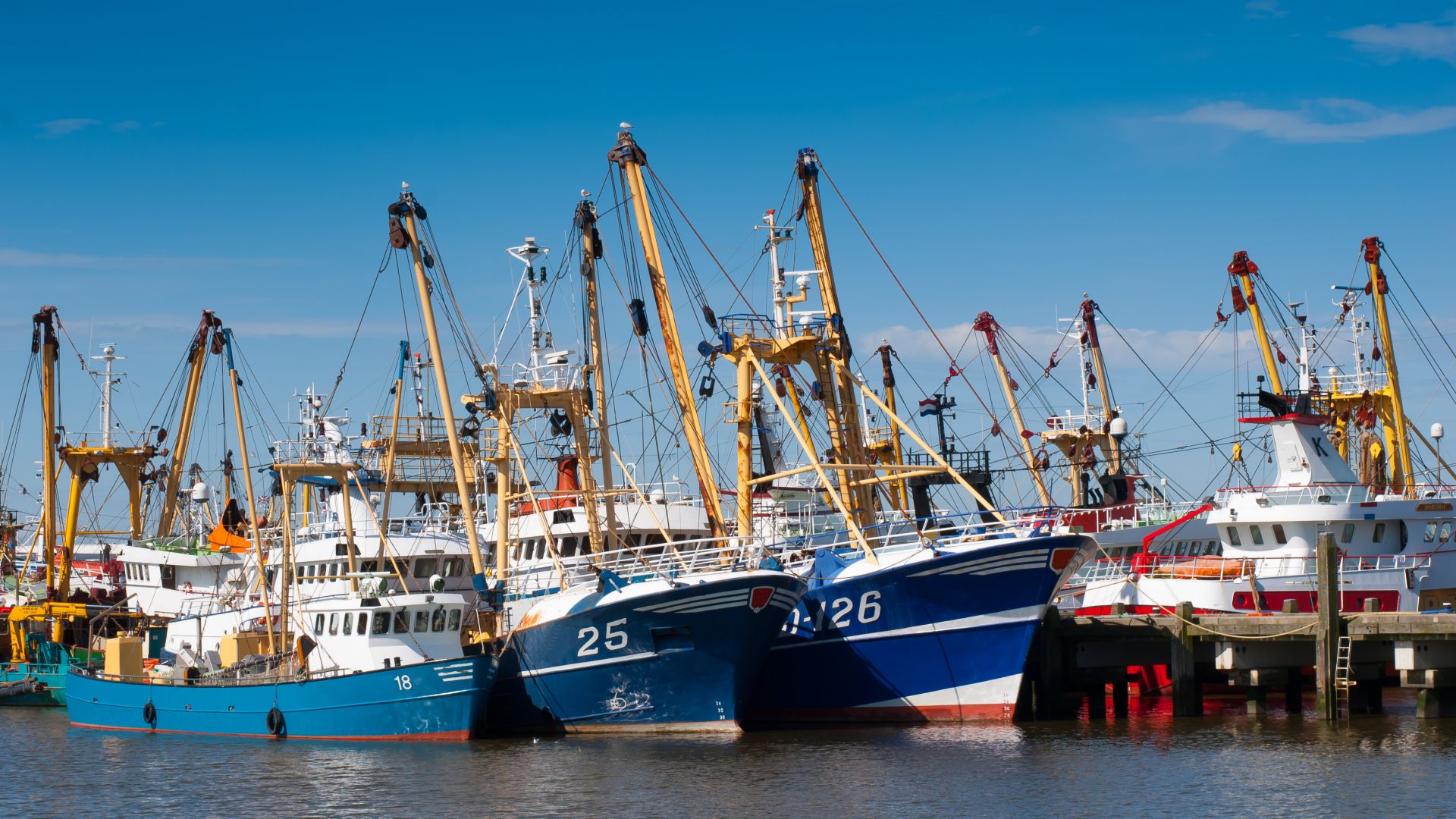 European Maritime and Fisheries Fund (EMFF