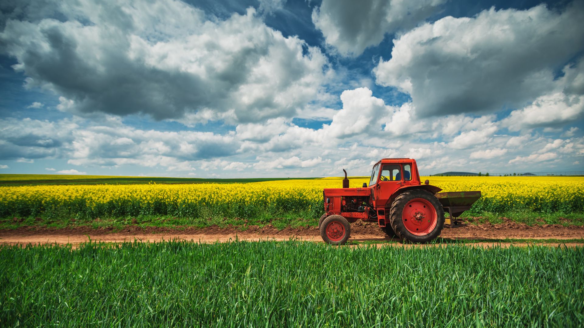 tractor in field agriculture