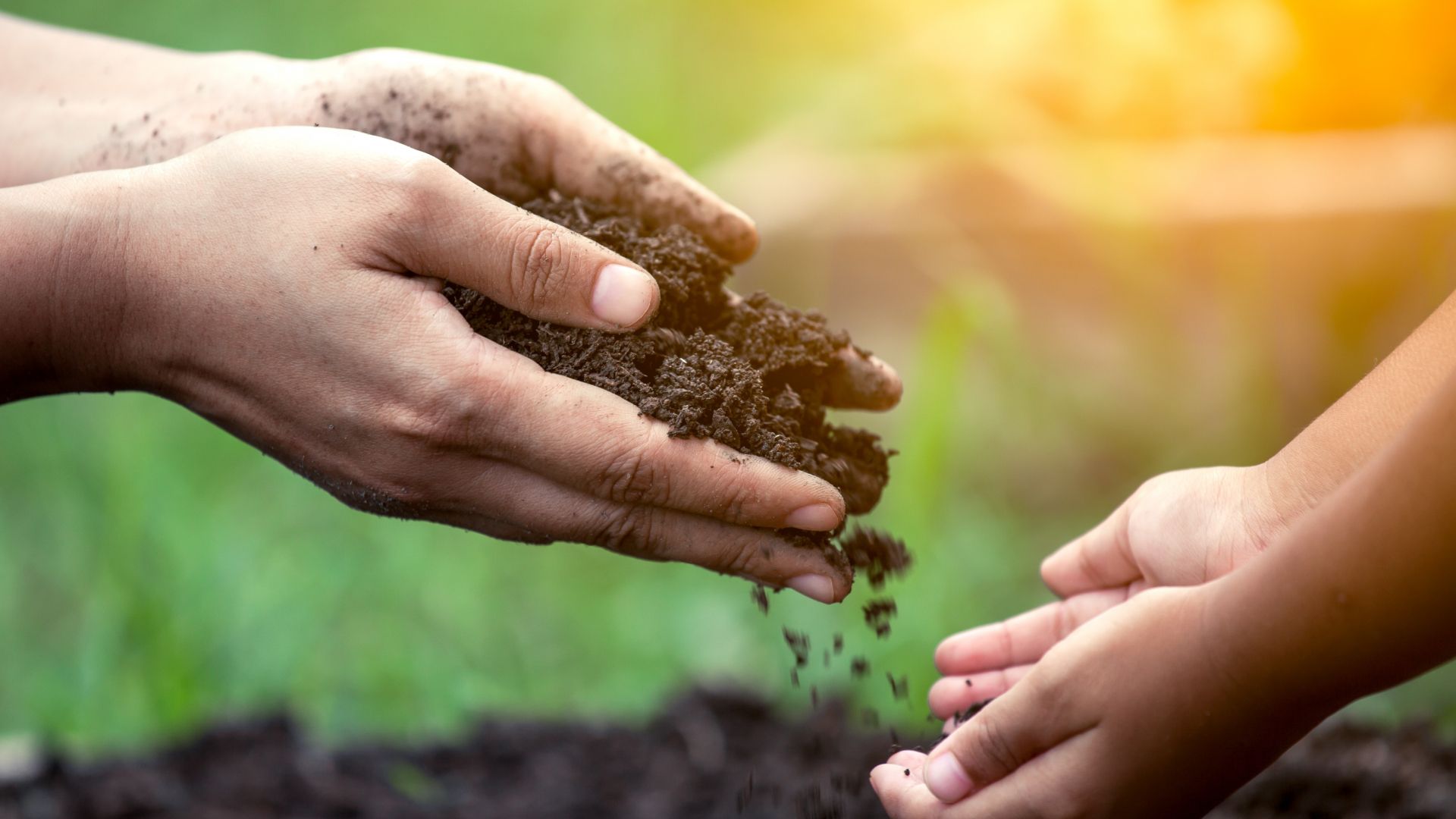 Hands-in-compost-soil