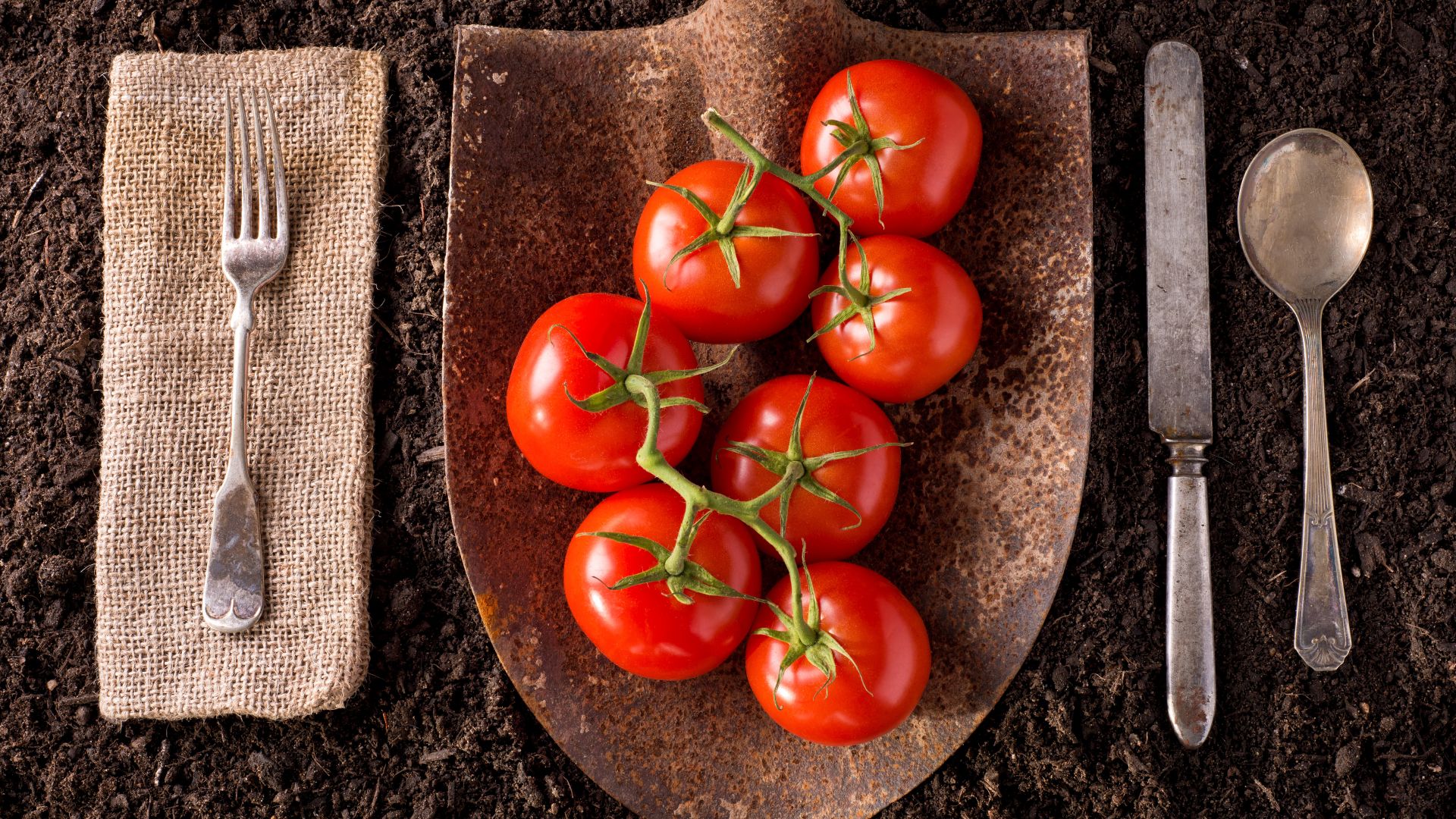 farm to fork tomatoes cutlery.jpg