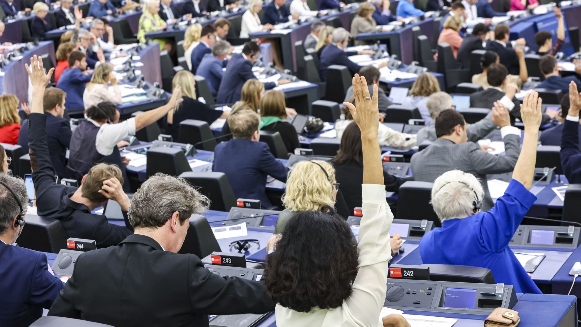 MEPs voting in the plenary