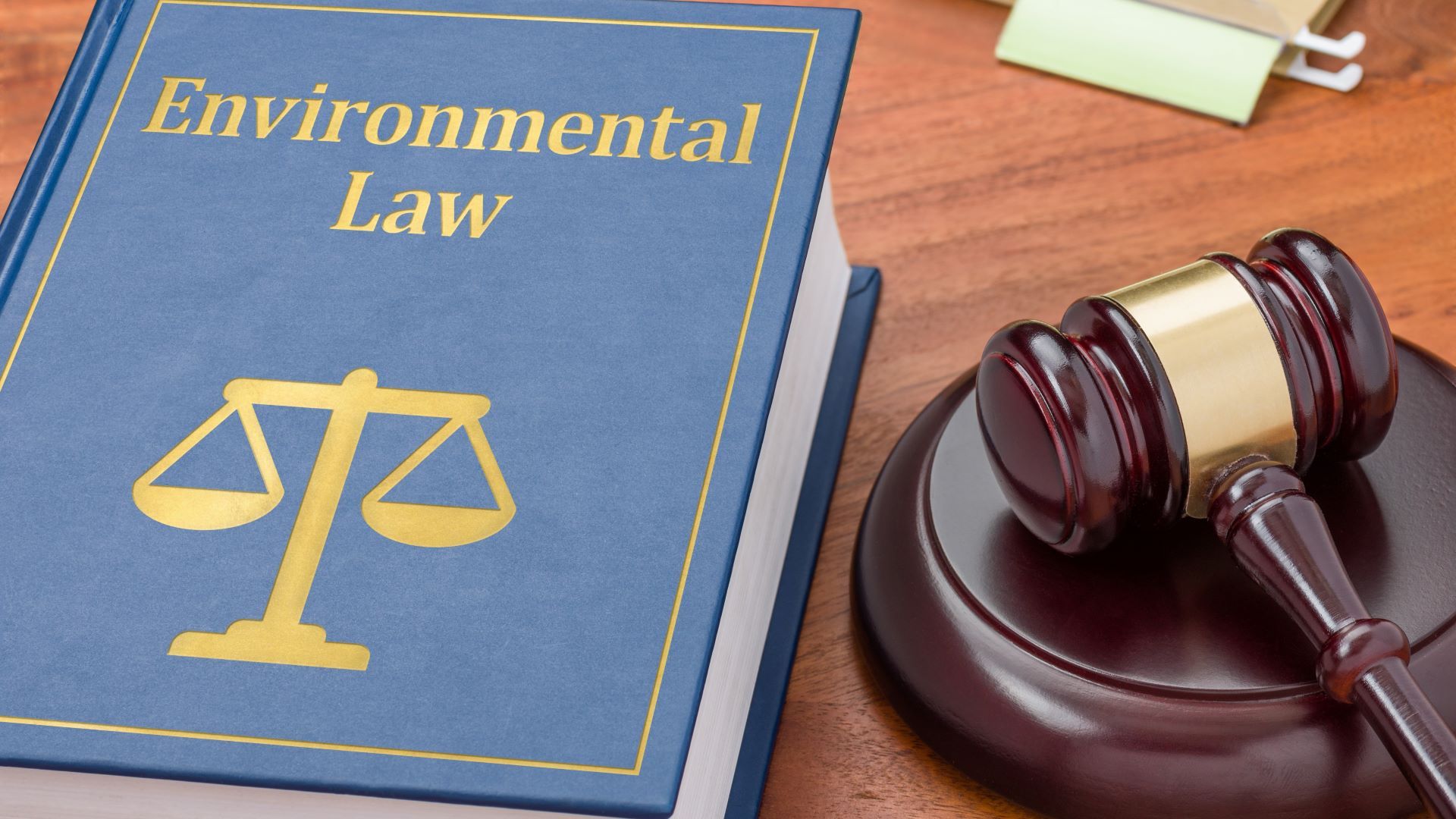 Image of gavel and book titled environmental law 
