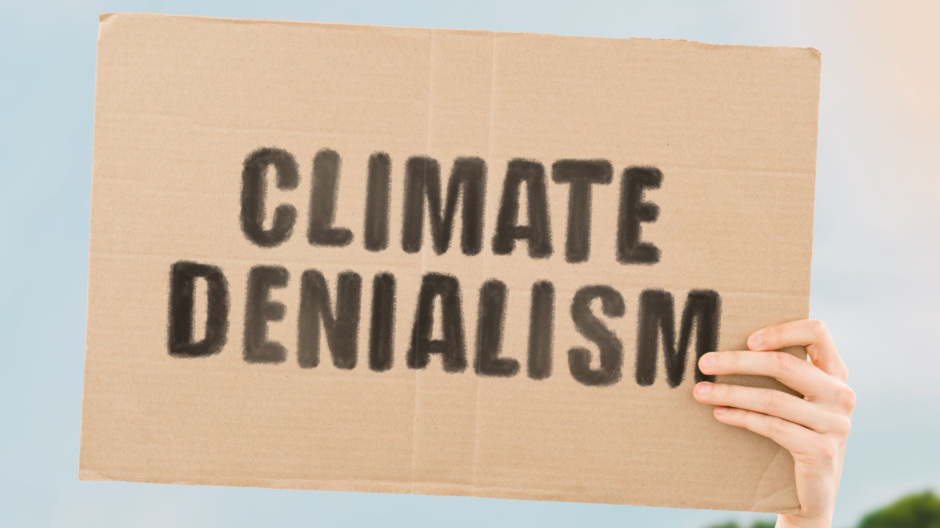 Image of someone holding sign reading "Climate Denialism"