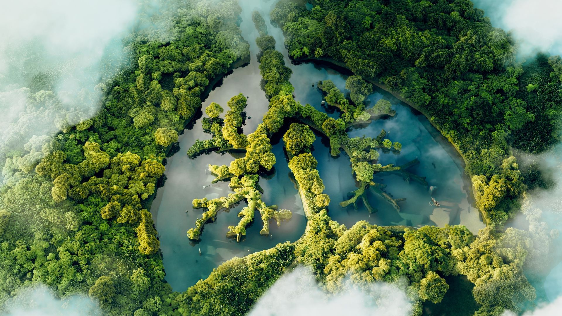 Image of forest shaped like lungs