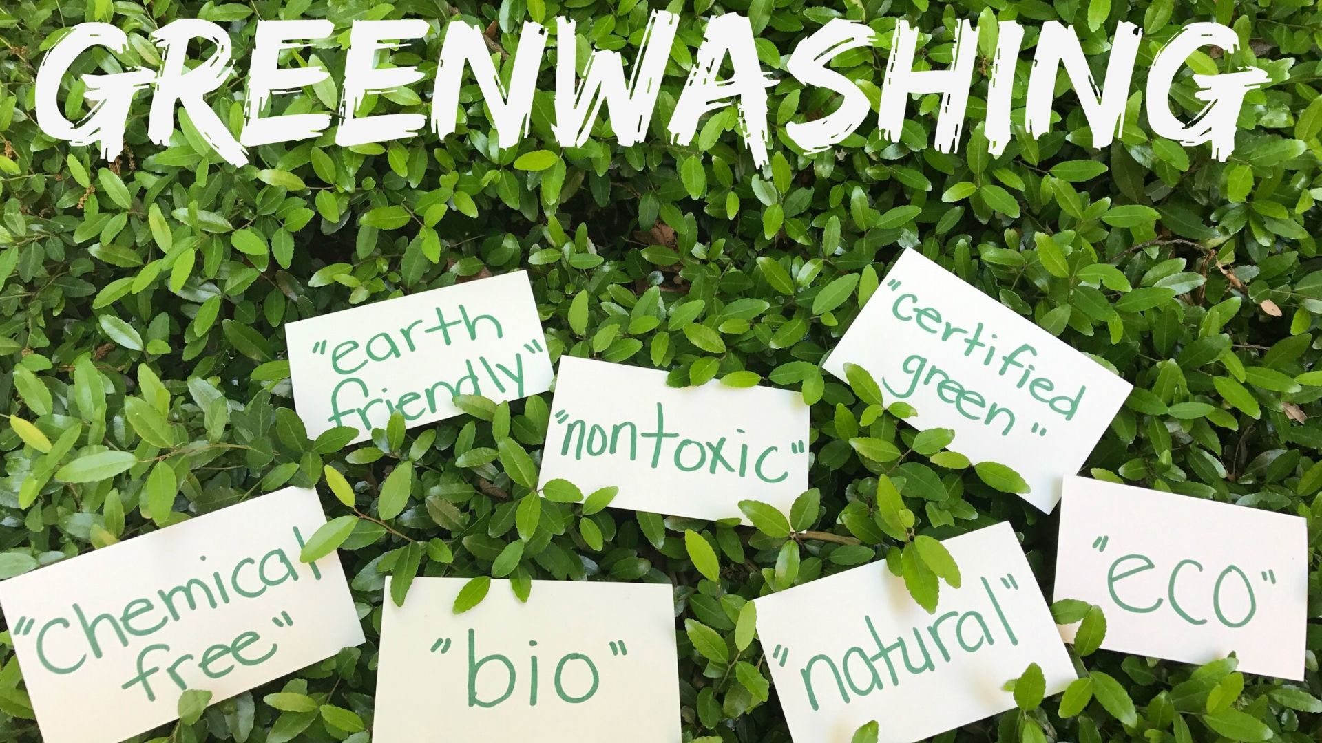 greenwashing products