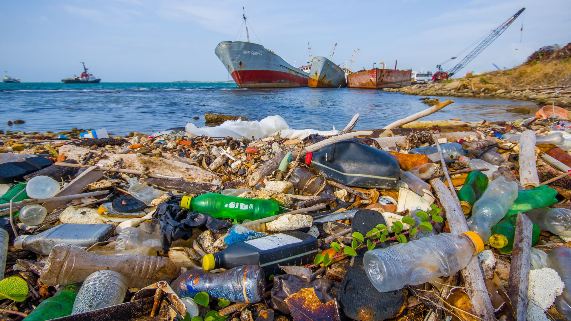 Ya es hora de acabar con la contaminación marina de plástico para salvar  nuestros mares, dice el Grupo S&D | Socialists & Democrats