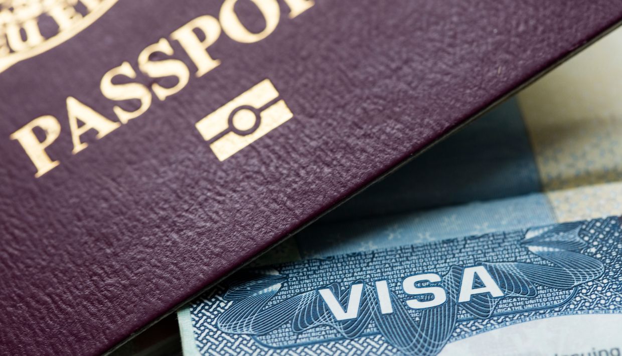 Passport and visa