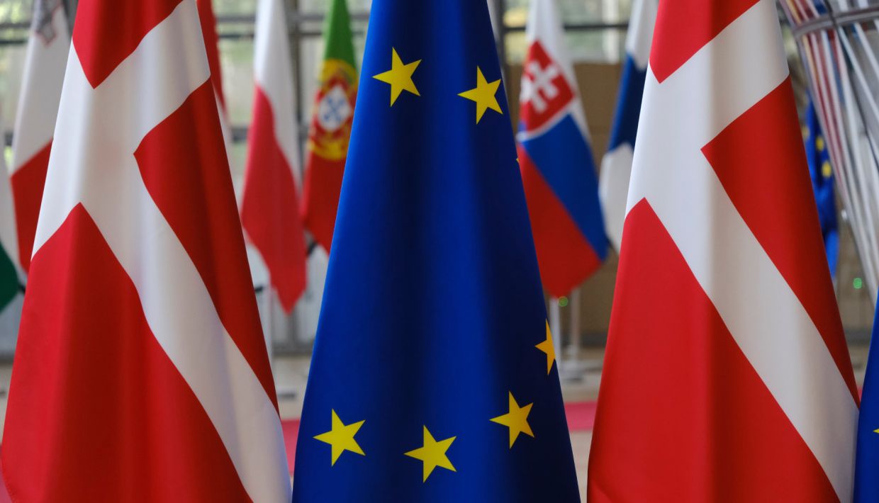 EU flag in the middle of two Danish flags