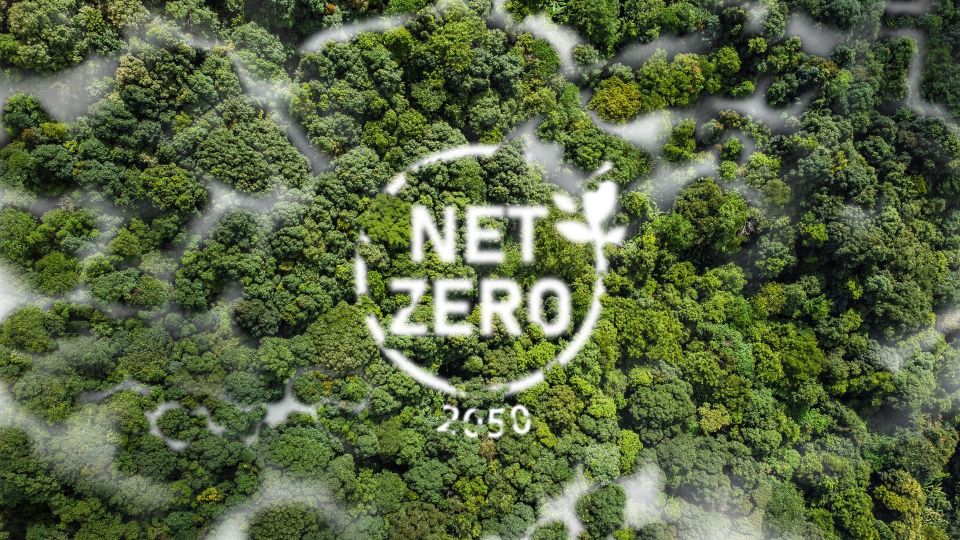Net zero green forest green deal healthy planet
