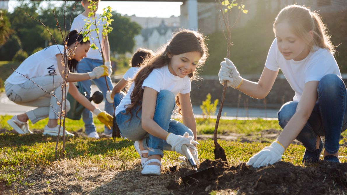 Kids and volunteers planting trees in the sunshine