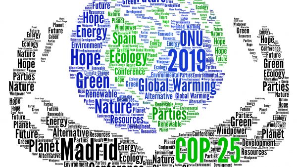 UN Conference on Climate Change in Madrid (COP25)