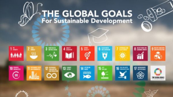 UN SDGs global goals 2020