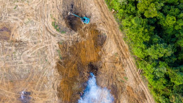 Birds eye view of tropical rainforest deforestation. An earth mover removes trees which are then burnt