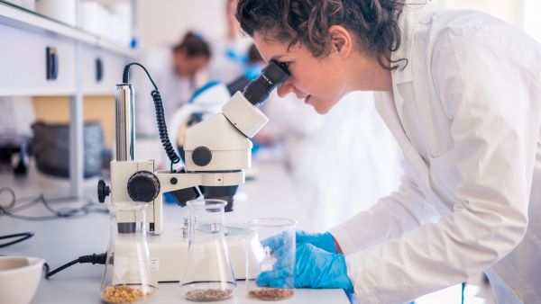 Scientist looking into a microscope