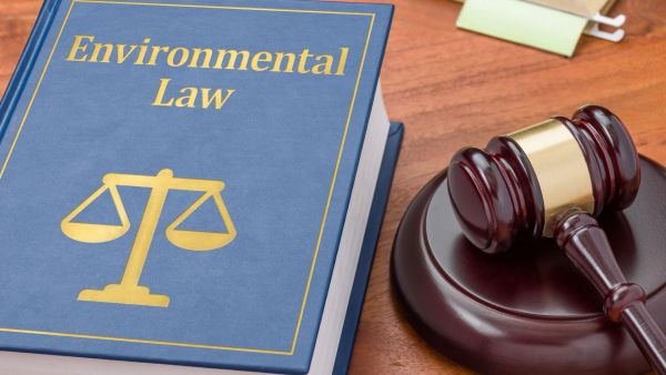 Image of gavel and book titled environmental law