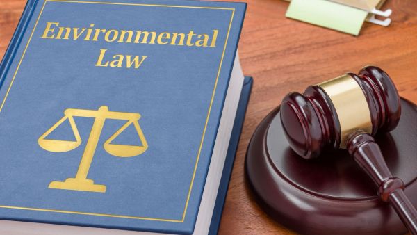 Image of gavel and book titled environmental law 