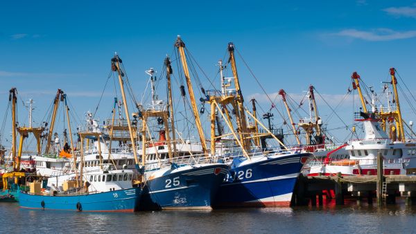 eu fisheries sector boats