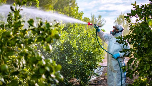 Pesticide farmer plants enviroment