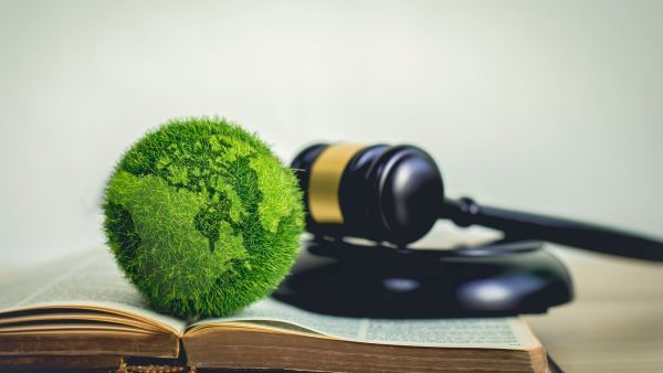 environmental crime directive green world gavel