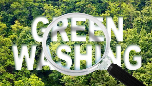 green washing forest