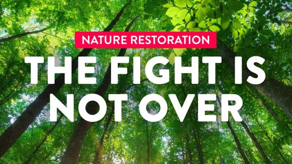 nature restoration the fight is not over