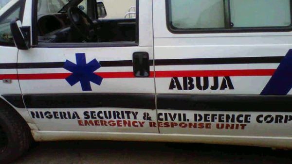 Pittella: "Boko Haram a global threat like Isis – fair elections needed in Nigeria to fight terrorists" Pittella: "Boko Haram a global threat like Isis – fair elections needed in Nigeria to fight terrorists"