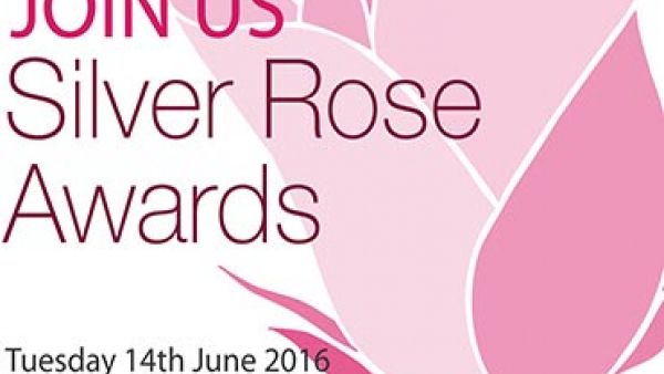 Silver Rose Awards: The Progressive Civil Society Award