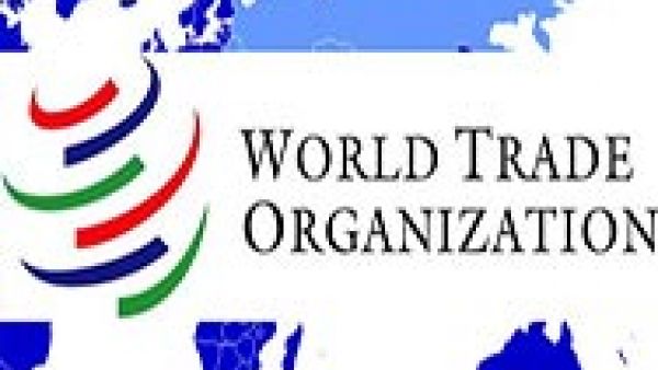 S&amp;Ds call for fair trade with a strong development agenda ahead of Kenya WTO summit, World Trade Organisation (WTO), least developed countries (LDCs), Bernd Lange MEP, David Martin MEP, Doha Round, Global trade, climate change and sustainability, SMEs, 