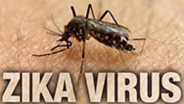 Zika is a global health threat which must be stopped, says Matthias Groote, EU Early Warning and Response System for medical emergencies, European Centre for Disease Prevention and Control, microcephaly, Zika is a global health threat which must be stopped, says Matthias Groote, EU Early Warning and Response System for medical emergencies, European Centre for Disease Prevention and Control, microcephaly,