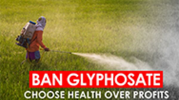 man spraying glyphosate herbicide