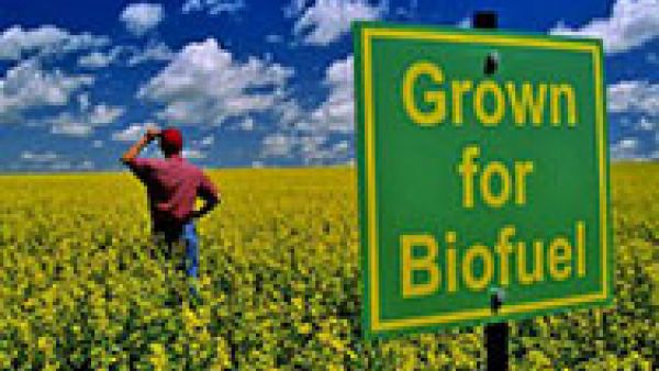 The European Union sets limits on land-grown biofuels used for transport