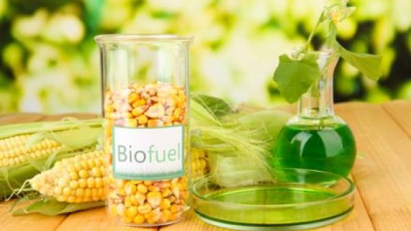 S&Ds want to move towards advanced biofuels and avoid any food speculation S&Ds want to move towards advanced biofuels and avoid any food speculation
