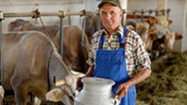 S&D Group calls for urgent measures to support EU milk producers, falling farm-gate prices of milk and dairy products, Paolo de Castro, Milk Package, milk quotas, Ricardo Serrão Santos, S&D Group calls for urgent measures to support EU milk producers, falling farm-gate prices of milk and dairy products, Paolo de Castro, Milk Package, milk quotas, Ricardo Serrão Santos,