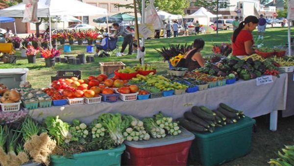 Common organisation of the markets in agricultural products Common organisation of the markets in agricultural products