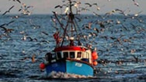 Today's fisheries committee coordinators decision deprives fishermen of legal security, say S&Ds, objection to the Delegated Regulation, the CFP (Common Fisheries Policy) Reform, landing obligation, Ulrike Rodust, Basic Regulation of the CFP Reform Today's fisheries committee coordinators decision deprives fishermen of legal security, say S&Ds, objection to the Delegated Regulation, the CFP (Common Fisheries Policy) Reform, landing obligation, Ulrike Rodust, Basic Regulation of the CFP Reform