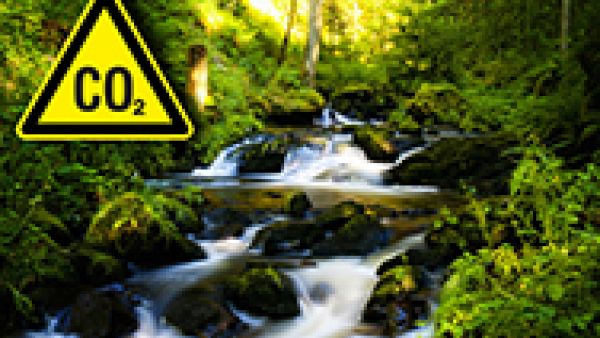 Forest management has a crucial role to play in combating climate change, say S&amp;Ds