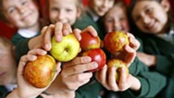 More fruit, vegetables and milk for 30 million European school children, S&D MEP Marc Tarabella, overweight or obese, More fruit, vegetables and milk for 30 million European school children, S&D MEP Marc Tarabella, overweight or obese,