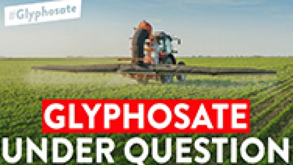 S&Ds on glyphosate: Commission must ensure public health and transparency fully protected, Miriam Dalli MEP, European Chemicals Agency (ECHA) and the European Food Safety Authority (EFSA), genotoxicity and carcinogenity, Eric Andrieu MEP S&Ds on glyphosate: Commission must ensure public health and transparency fully protected, Miriam Dalli MEP, European Chemicals Agency (ECHA) and the European Food Safety Authority (EFSA), genotoxicity and carcinogenity, Eric Andrieu MEP