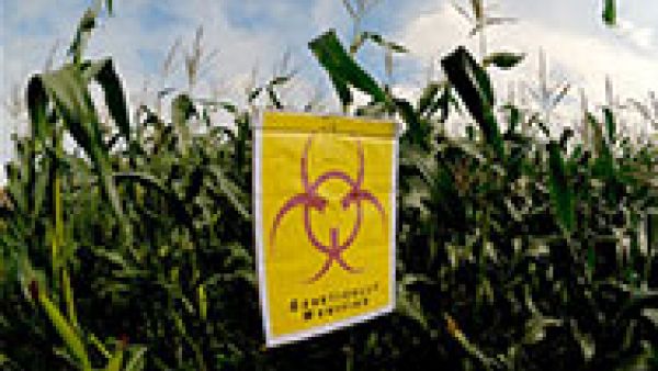 New GMOs law will strengthen consumer&#039;s and farmer&#039;s protection 