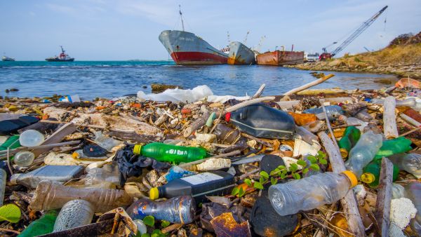 plastic marine pollution - bottles on beach