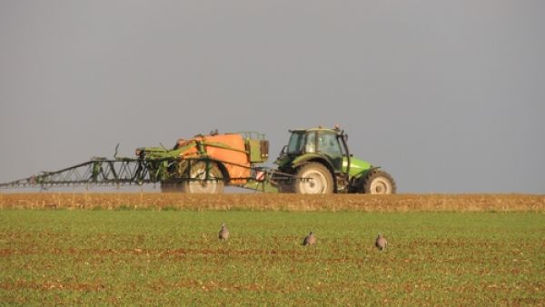 Tractor spraying field with pesticides