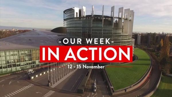Our week in action 12 - 15 November