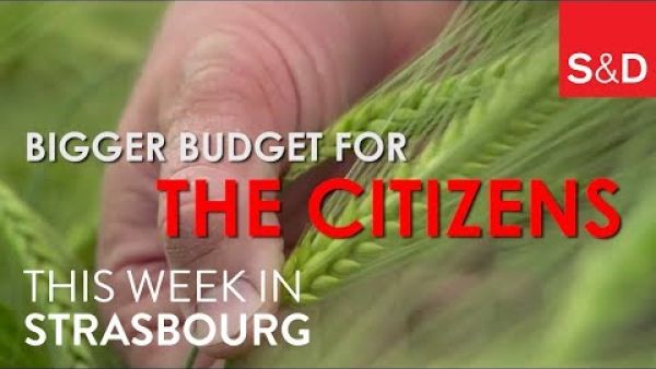 Here&#039;s what was on our plate this week in Strasbourg