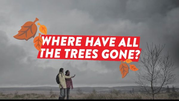 Where have all the trees gone? - Nature restoration law