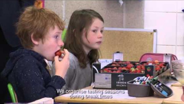 More fruit, vegetables and milk for 30 million European school children