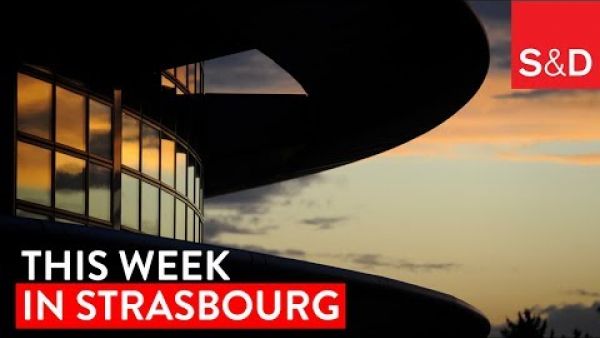 This Week in Strasbourg | Whistleblowers, Workers&#039; Rights, Glyphosate, EU Budget and More...