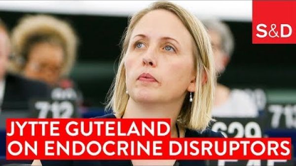 Jytte Guteland on Endocrine Disruptors
