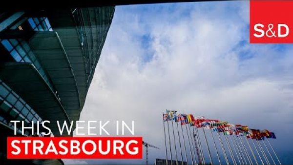 This Week in Strasbourg: Clean Energy, Future of Europe, Colombia Peace Process and More...