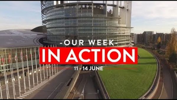 Our week in action - 11 - 14 June