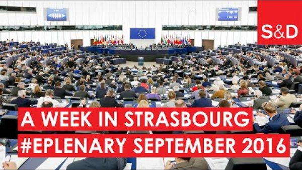 A Week in Strasbourg: European Parliament Plenary Session